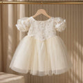 Butterfly Princess Dress for girls