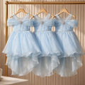 Blue Princess Dress-Elegant Tulle Party Dress