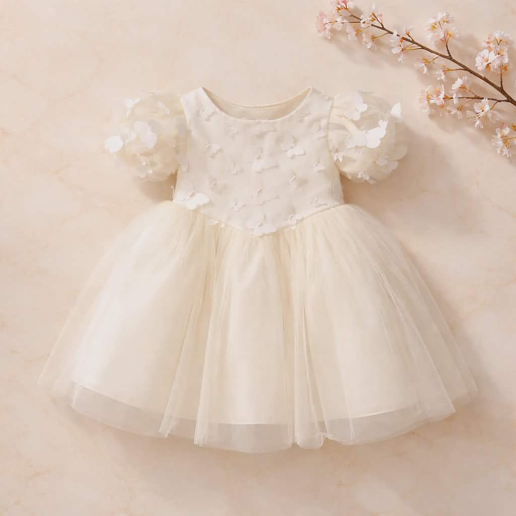 Butterfly Princess Dress for girls